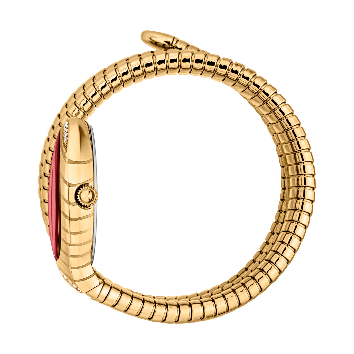 Just Cavalli JC1L248M0035
